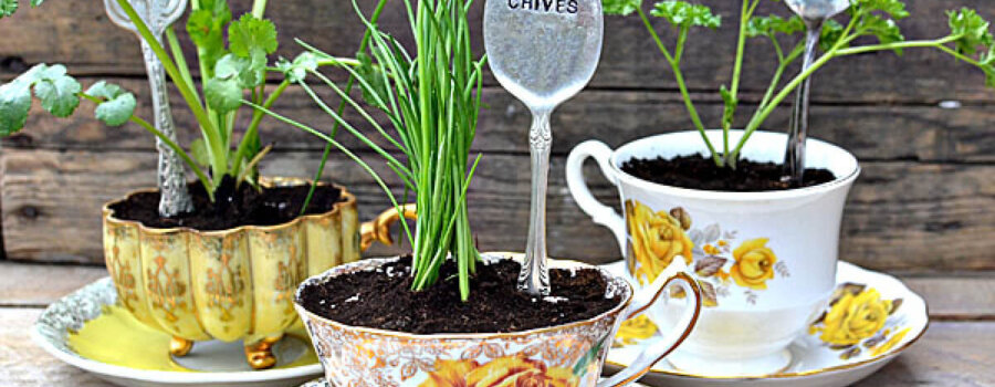 Free Refill: Happy Spring – Will You Make Room?