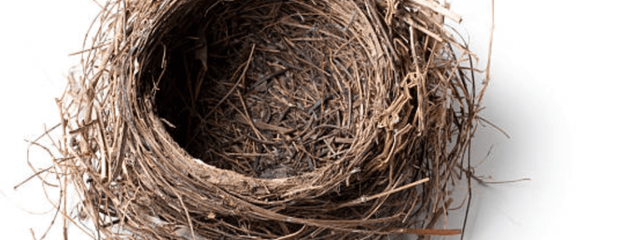 Free Refill: School’s Out, The Nest Will Be Empty